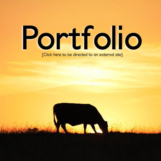 portfolioimage
