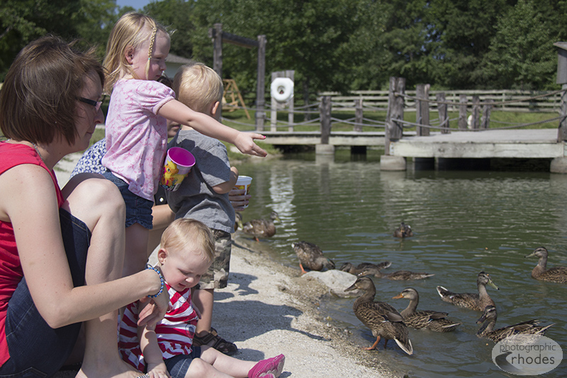 Feeding the ducks was quite a hit.