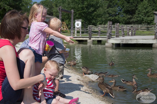 Feeding the ducks was quite a hit.