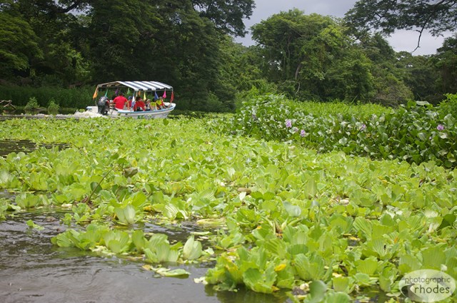 Beautiful boat ride on Lake Nicaragua