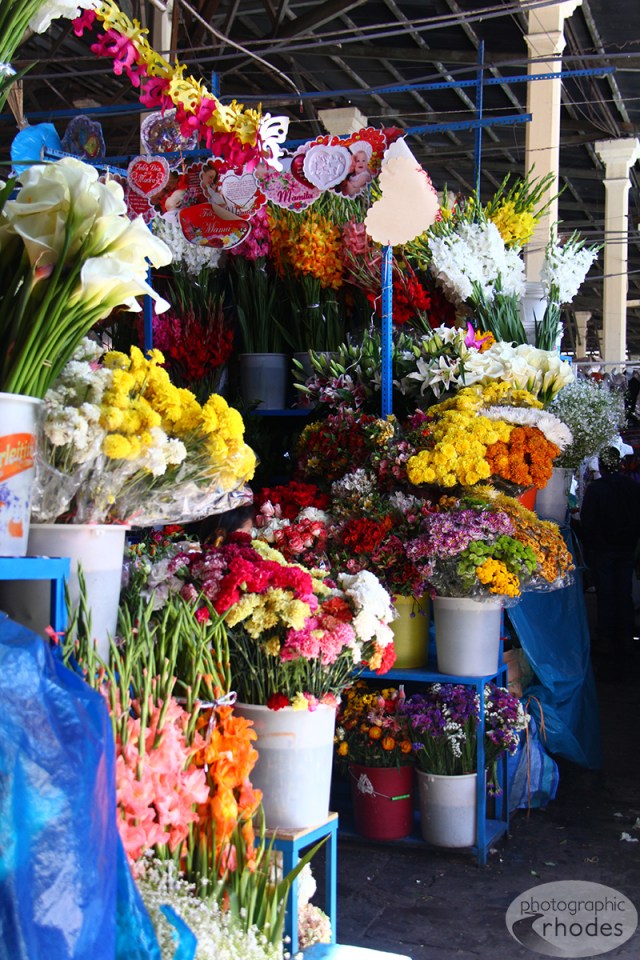 VeryLastDayLima_007 copy