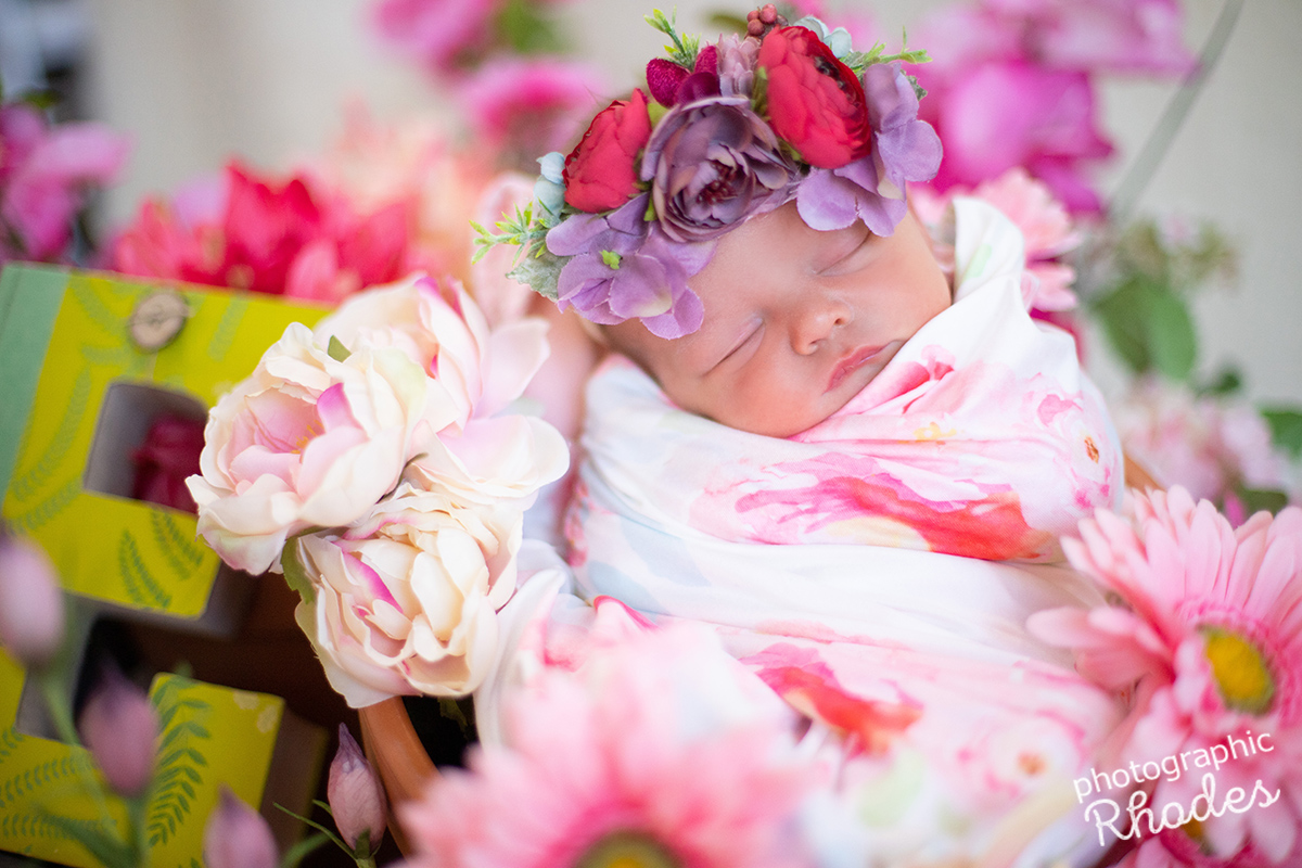 02.02.20_BabyElaine-7244-edit copy